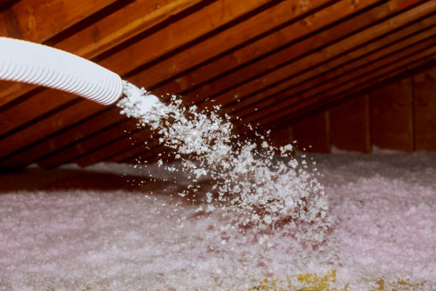 Best DIY Insulation Kits and Guidance in Santa Moni, CA