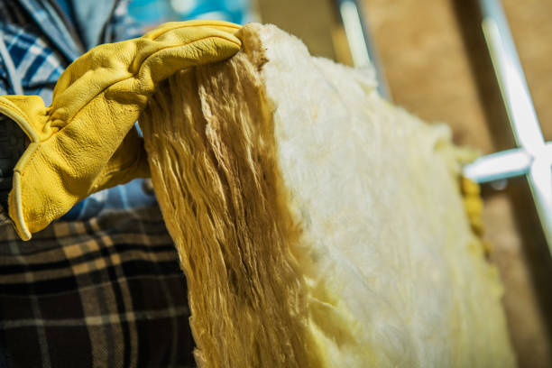 Best Insulation for Specific Applications in Santa Moni, CA