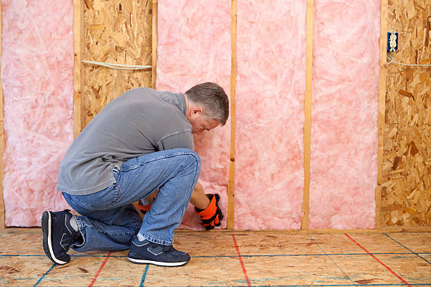Best Eco-Friendly Insulation in Santa Moni, CA
