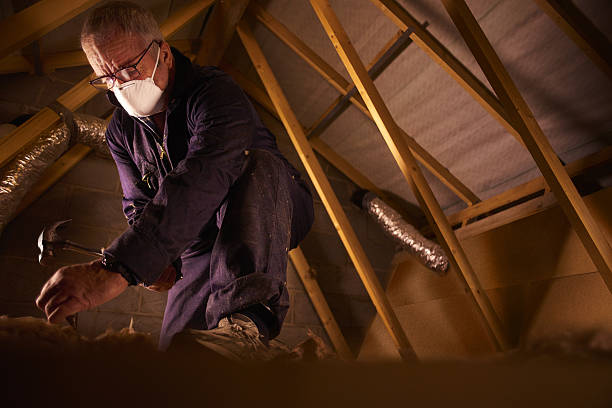 Best Specialized Insulation Services in Santa Moni, CA