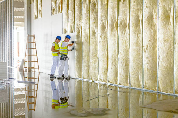 Best Geographic-Specific Insulation Services in Santa Moni, CA
